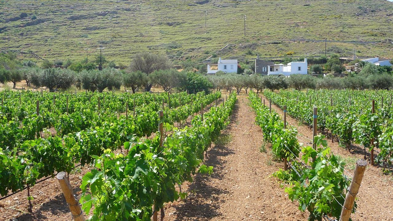 Red Tractor Farm Villa Korissia  Exterior photo